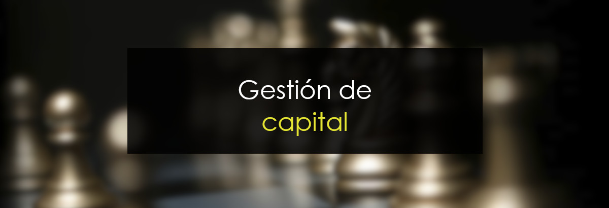 Gestión de capital miniatura