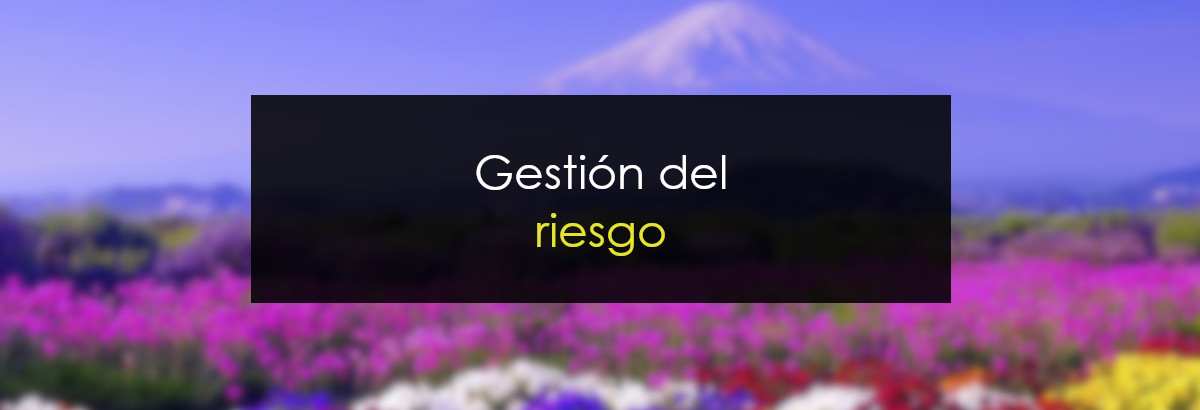 Gestión del riesgo miniatura