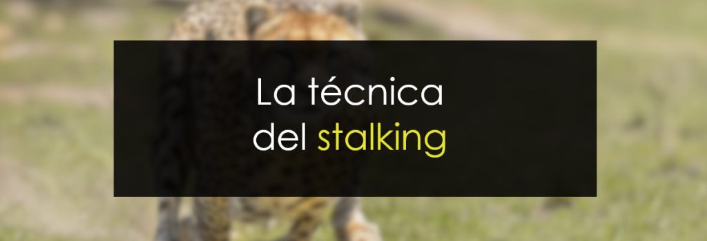 La técnica del stalking