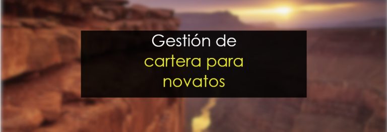 gestión de carteras para novatos