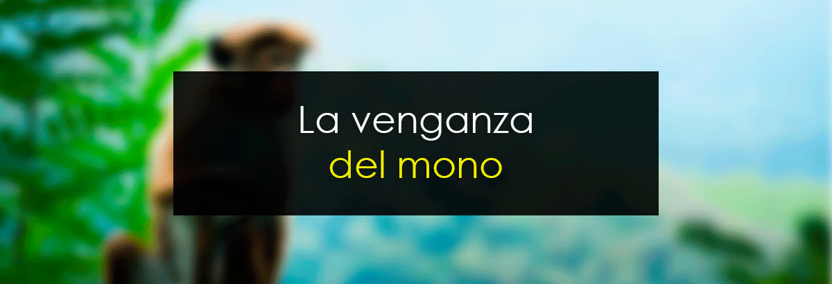 La venganza del mono