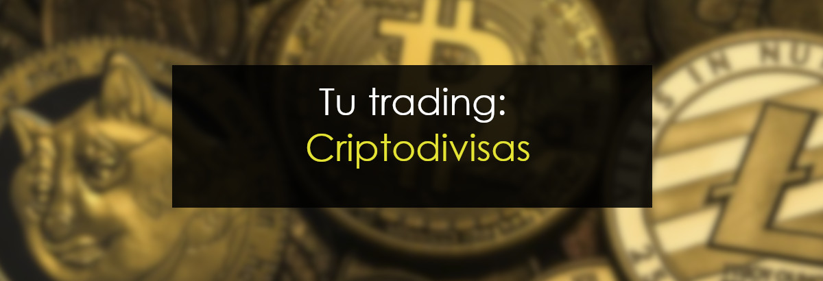Tu trading - Criptodivisas miniatrua