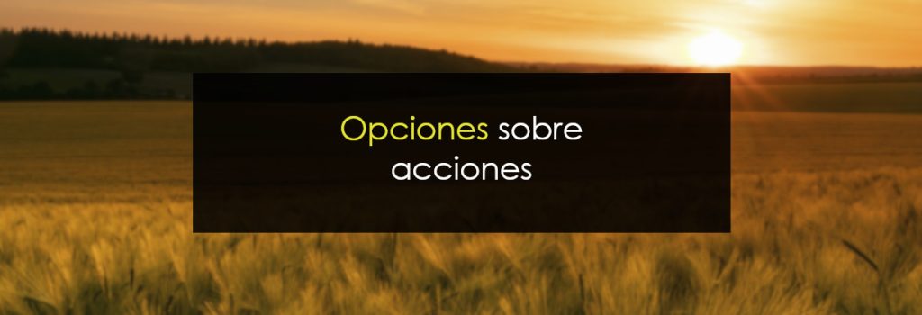 Opciones sobre acciones