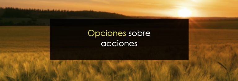 Opciones sobre acciones