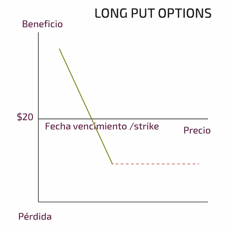 LONG PUT OPTIONS