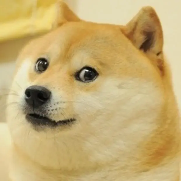 dogecoin memecoin