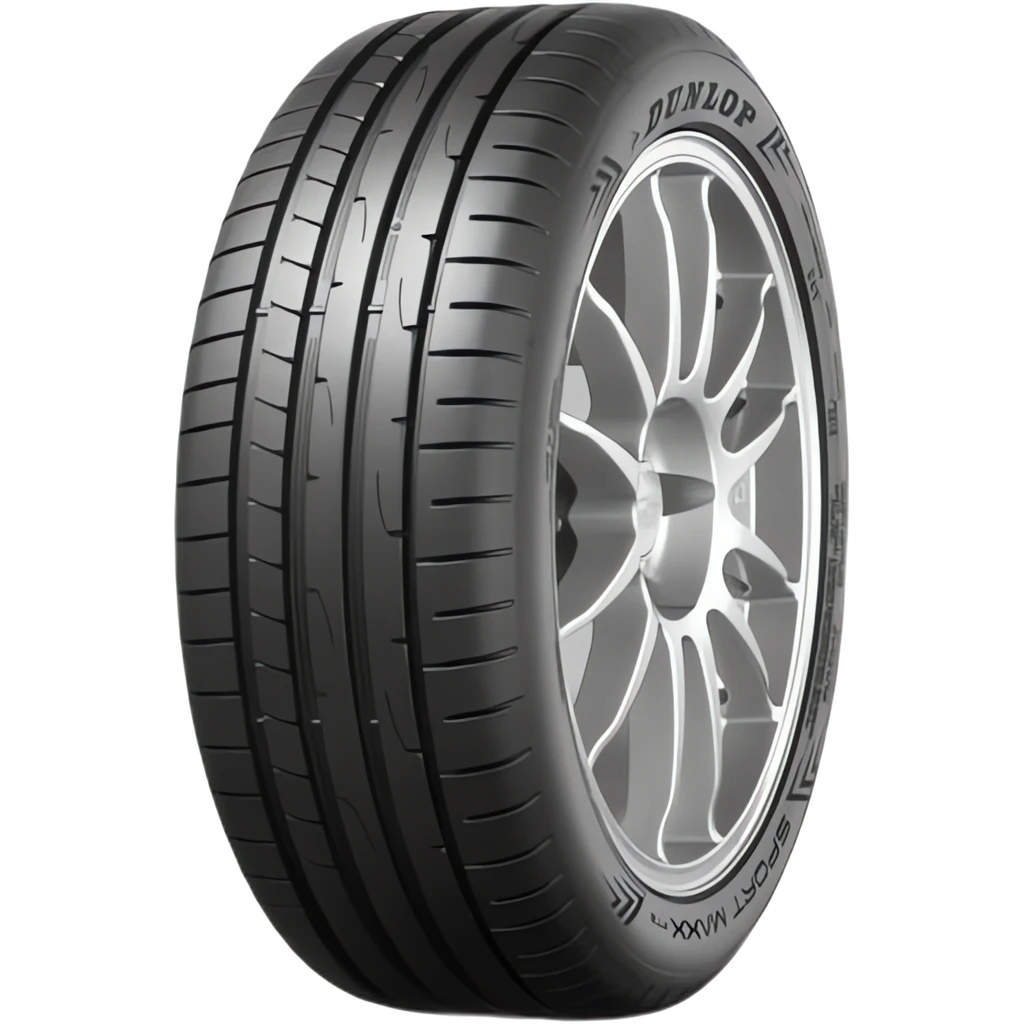 Dunlop Sp sport maxx-rt2 suv 225/55 R19 103W | Taller barato