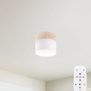 Plafón LED 9W 852Lm Mando a Distancia (Intensidad-CCT) 10.000H  [HO-CCT-DL9W]