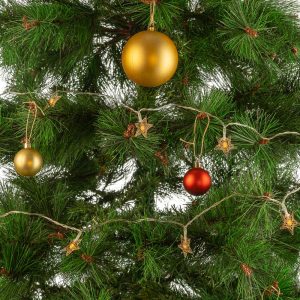 Guirnalda LED Interior 3M  [HO-XMAS-019-IP20-3M-WW]