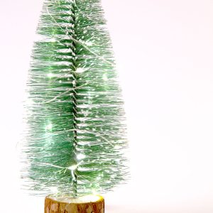 Adorno Navideño LED Interior   [HO-XMAS-069-IP20--WW]