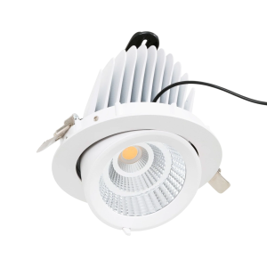 Downlight LED basculante empotrable - Chip especial para carnicerías 40W